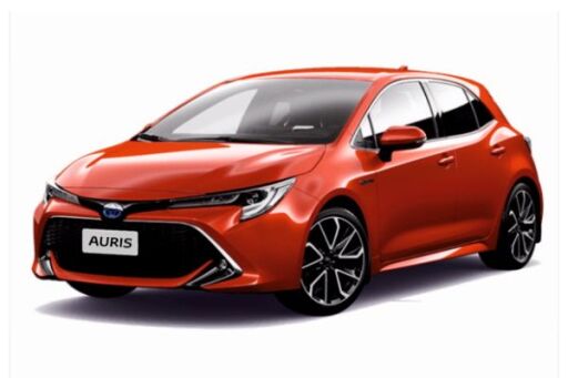 Auris
