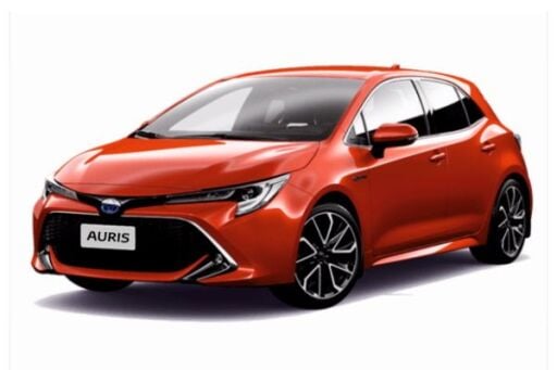 Auris